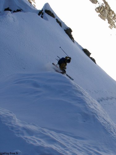 DSC00350_.jpg